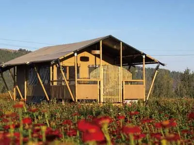 safari lodge tents for sale