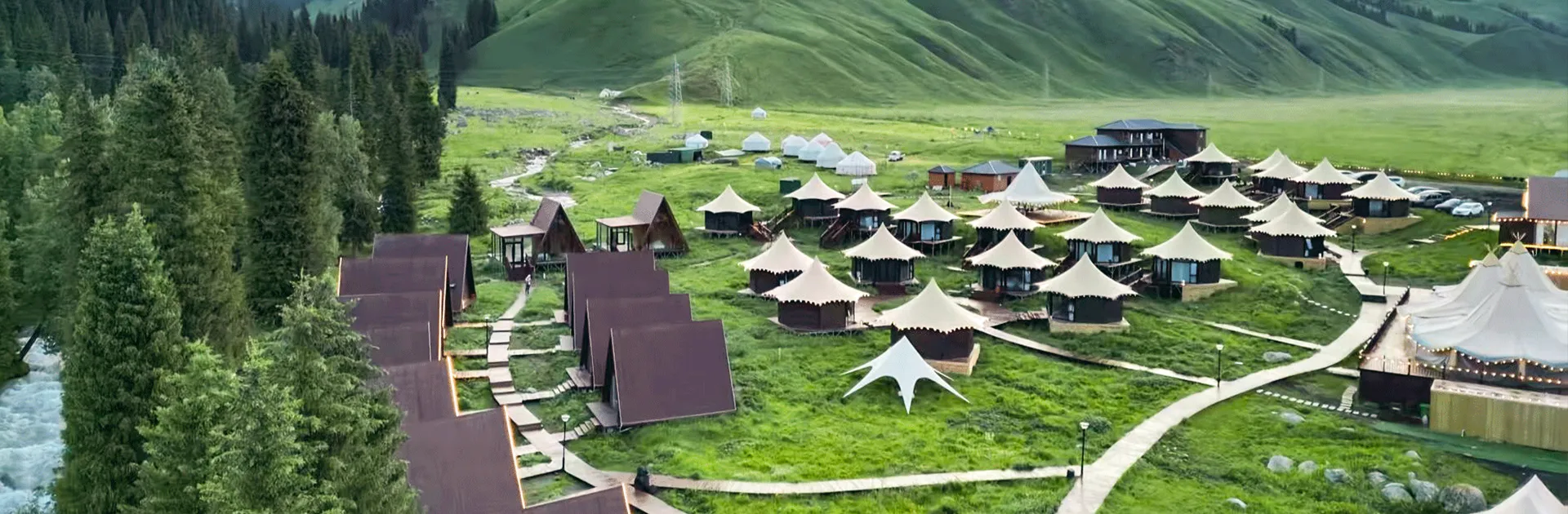 Starwild Company Profile